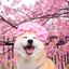COOLend