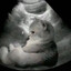 meower