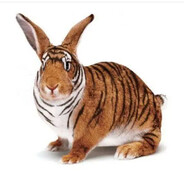 Дизельная бабка