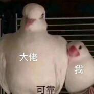 我是菜鸡别打我