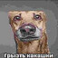 Какашечки