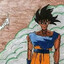 Goku Fase Terminal