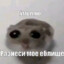 Данончик