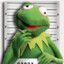 Kermit_the_Crack