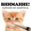 evit_