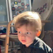 霜天に坐せ 氷轮丸