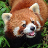 133k - steam id 76561198060906995