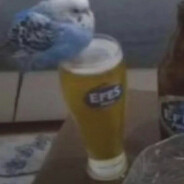 seal - steam id 76561198011471785