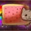 NYN CAT