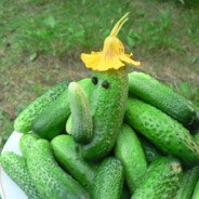 ffffffffffffffffffffffffvbhhhhhh