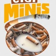 CigiMinis