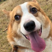 难道还是不够努力吗