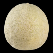 Cantaloupe