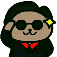 邓洪文VS王小平