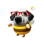 蜜蜂小狗