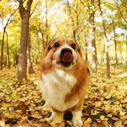 没有你的地方就是流浪 艹蛋的青春总让ｗǒ蛋疼