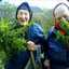 Grannies Dope