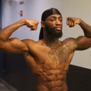 20-сантиметровый ч