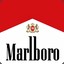 Marlboro