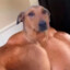 GUEPARDEX