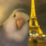 七枪六马五分钟四把三个人倒俩光速下一把