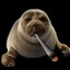 Foca Fumadora
