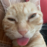 KK园区头号杀手