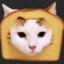 BreadCat