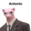 Antonio