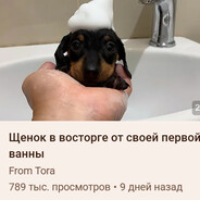 повелеваю долбаёбами