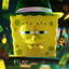 sponge