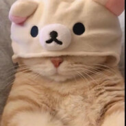 想要屠夫亲亲抱抱举高