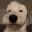 geoffrey