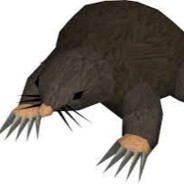 Corporate Mole