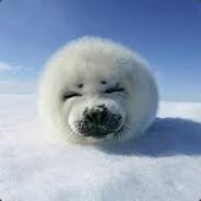 Vova2005 - steam id 76561197963943707
