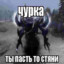 пёс да лис
