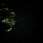 crazy.САНТЕХНИК