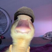 Bahuras avatar