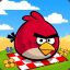 Angry bird