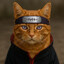 Rinnecat