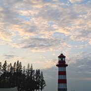 青青草原羊蛋蛋