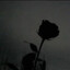 anemoia