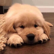 是晴天也是雨天