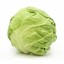 Flying_Cabbage