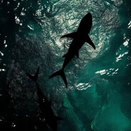 1000-7 - steam id 76561199099099178