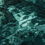 射这么六，孩子你养啊