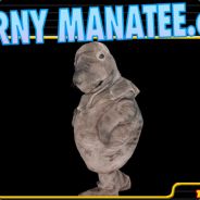 HornyManatee