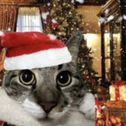 poxVAWE - steam id 76561199658735779