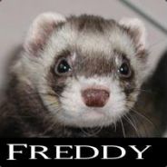 Freddy das Frettchen