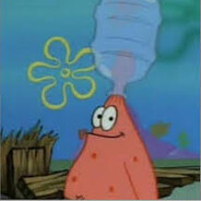 AlbanianArmadillo429